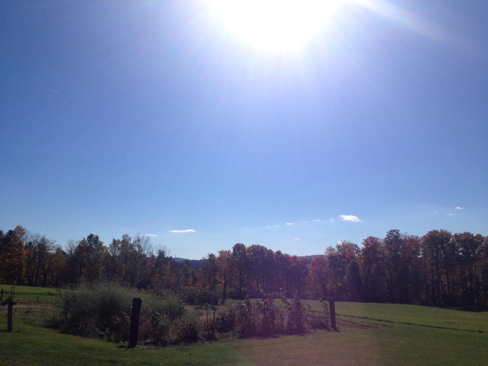 Meredith NH